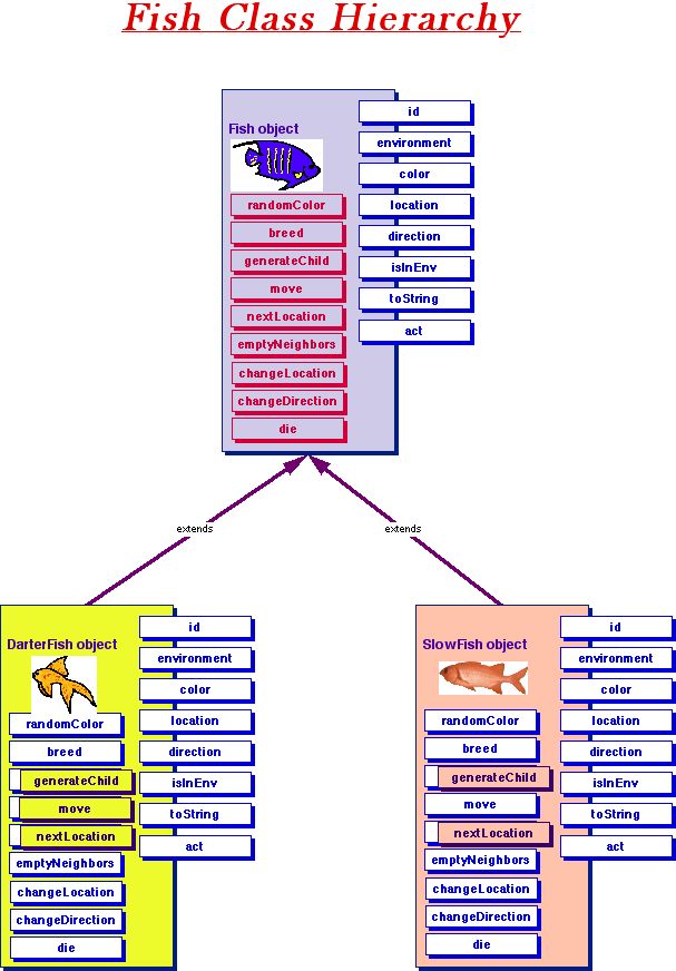 Fish Class Hierarchy