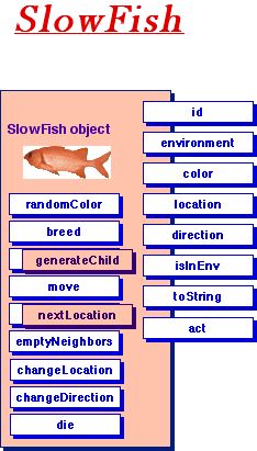 SlowFish diagram